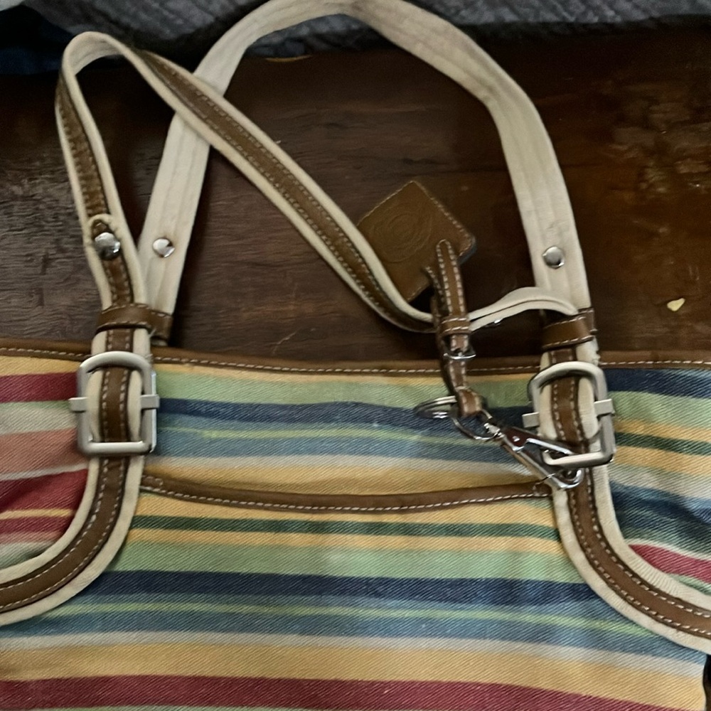 Etienne Aigner Red and Blue Tote Bag with Striped Design